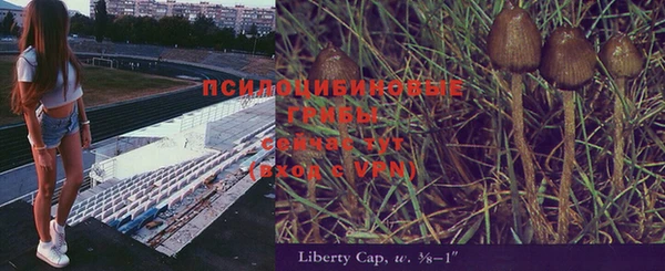 не бодяженный Абаза